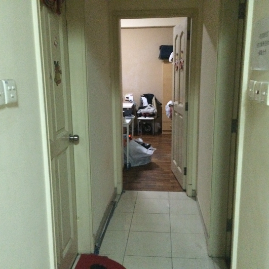 The Sunny Spring (D14), Apartment #49094542